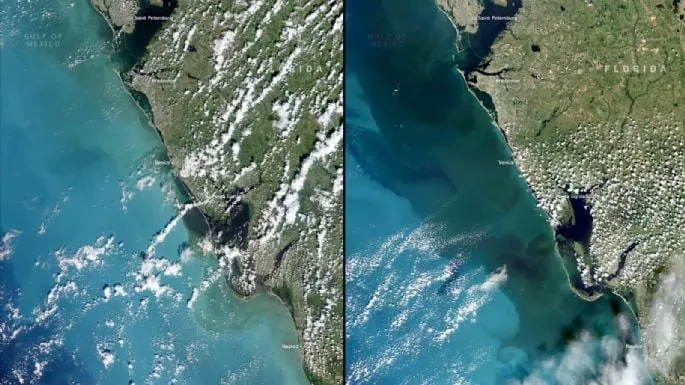 Copernicus elige como imagen del día la costa oeste de Florida antes y después del huracán 'Milton'