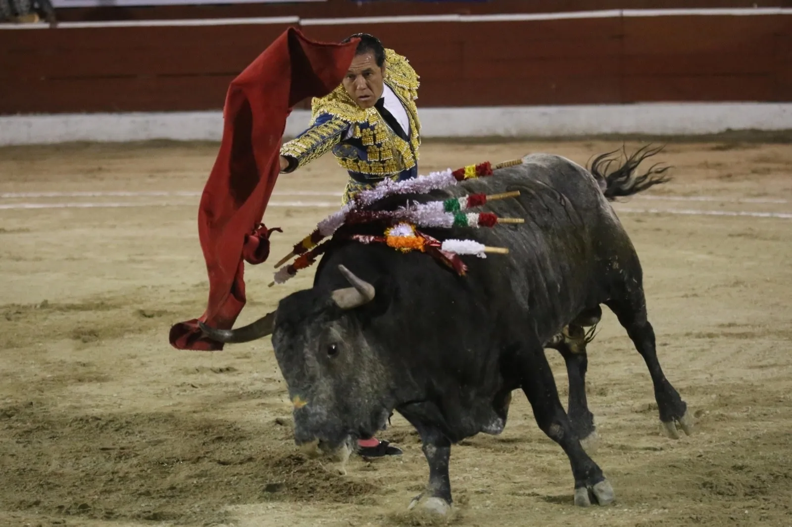 Discusión para prohibir las corridas de toros y peleas de gallos continuará en Congreso de la CDMX