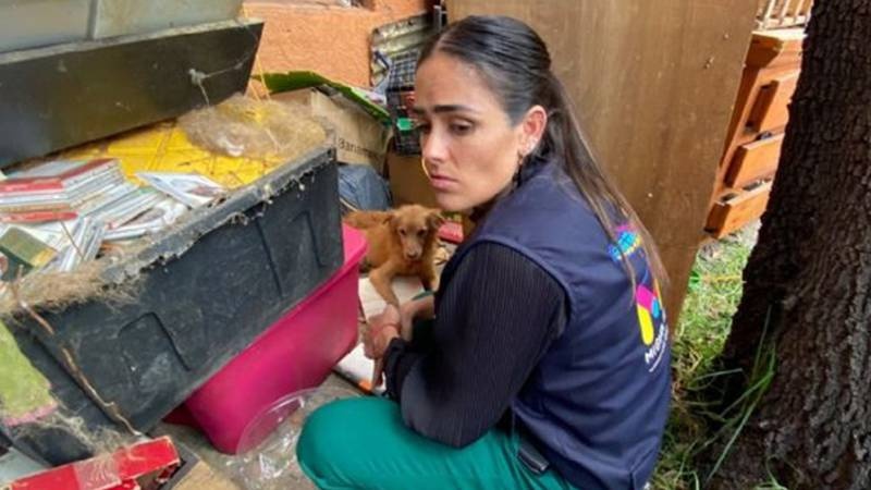 Rescatan a más de 30 perritos hacinados y desnutridos en CDMX
