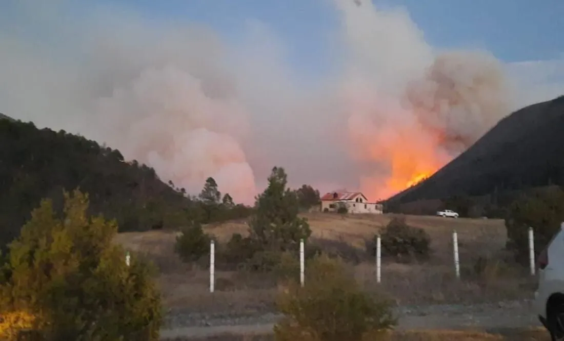 Se desata incendio en Sierra de Arteaga, Coahuila; viento impide que logre ser controlado (Videos)