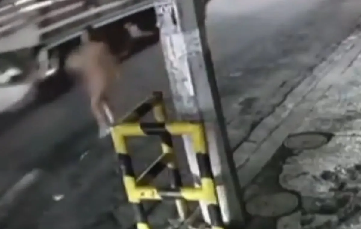 Atropellan a una mujer que caminaba desnuda por una avenida de Monterrey (Video)