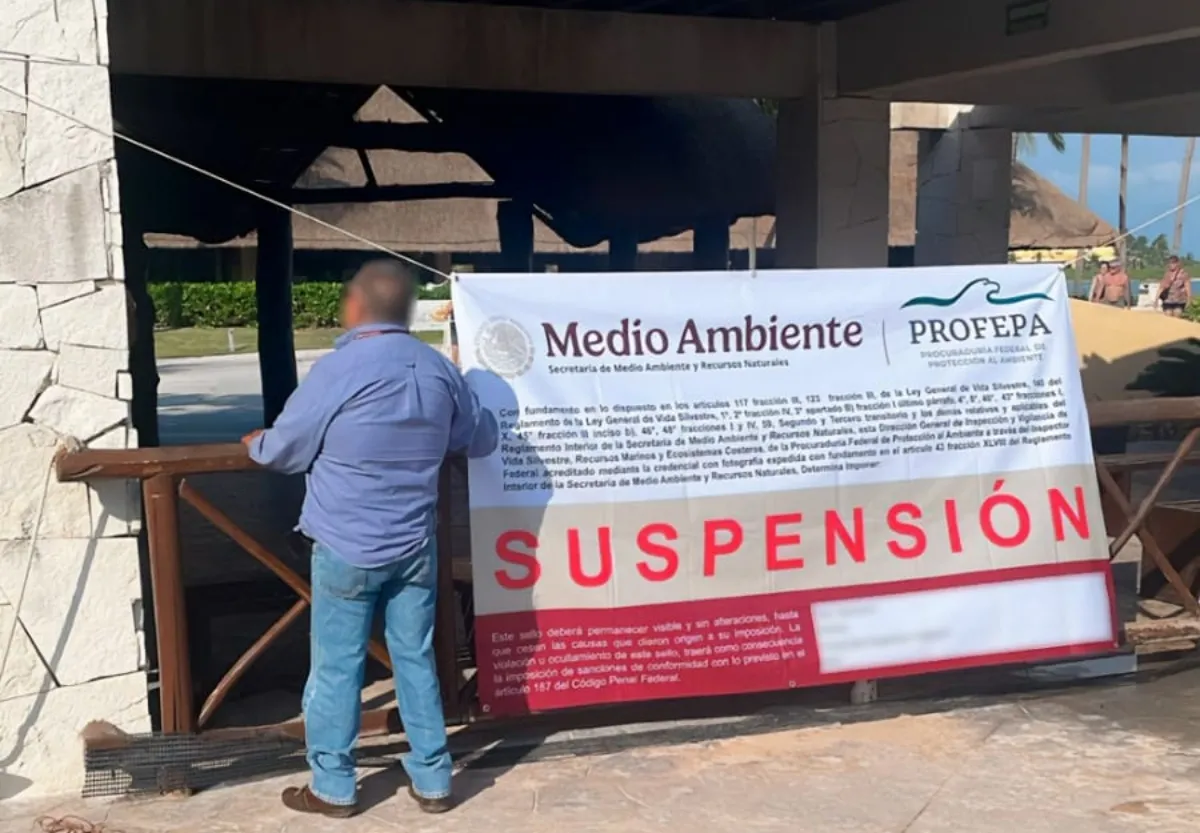 Profepa suspende las acrobacias con delfines en el hotel Barceló Riviera Maya (Video)