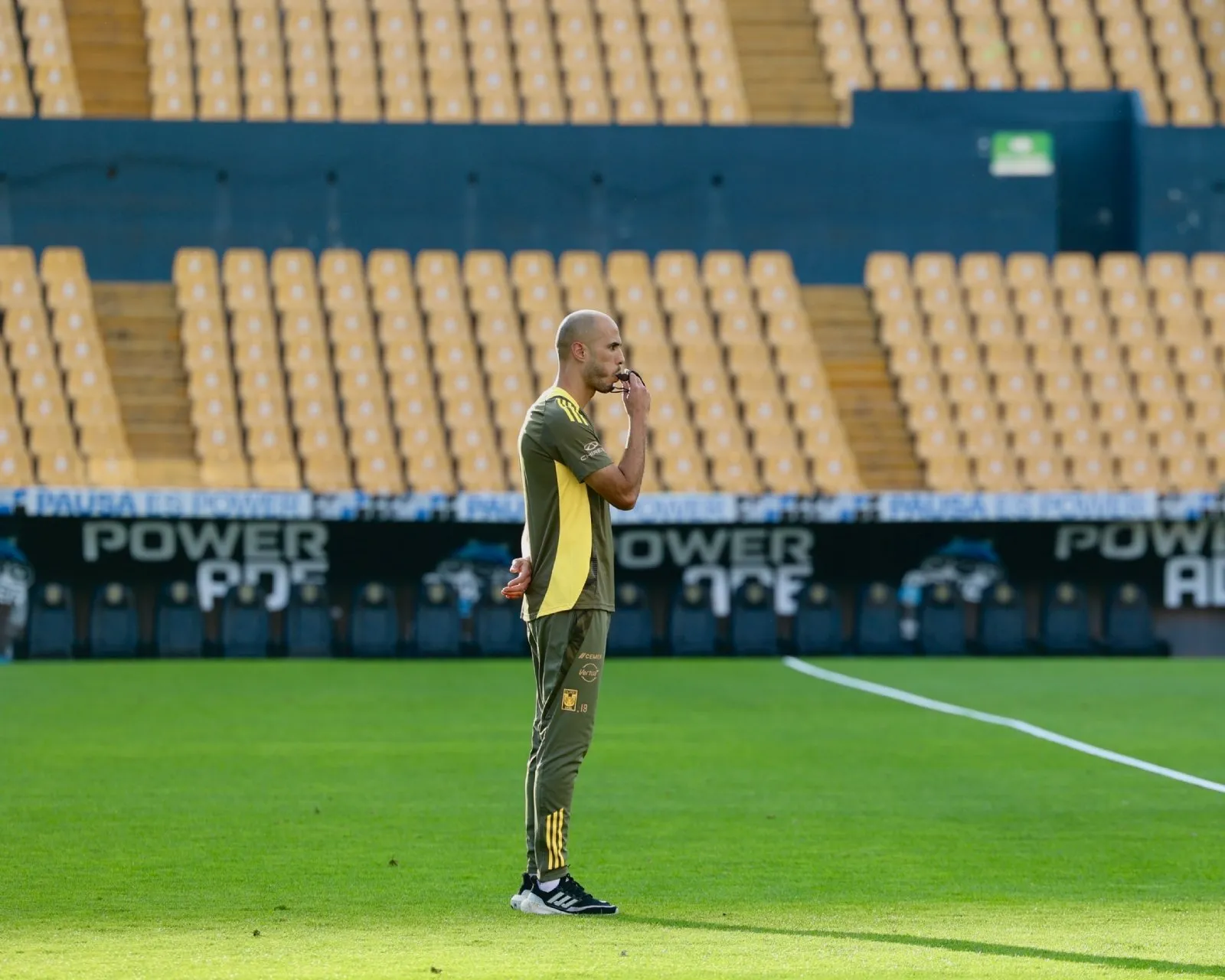 Guido Pizarro es nuevo director técnico de Tigres