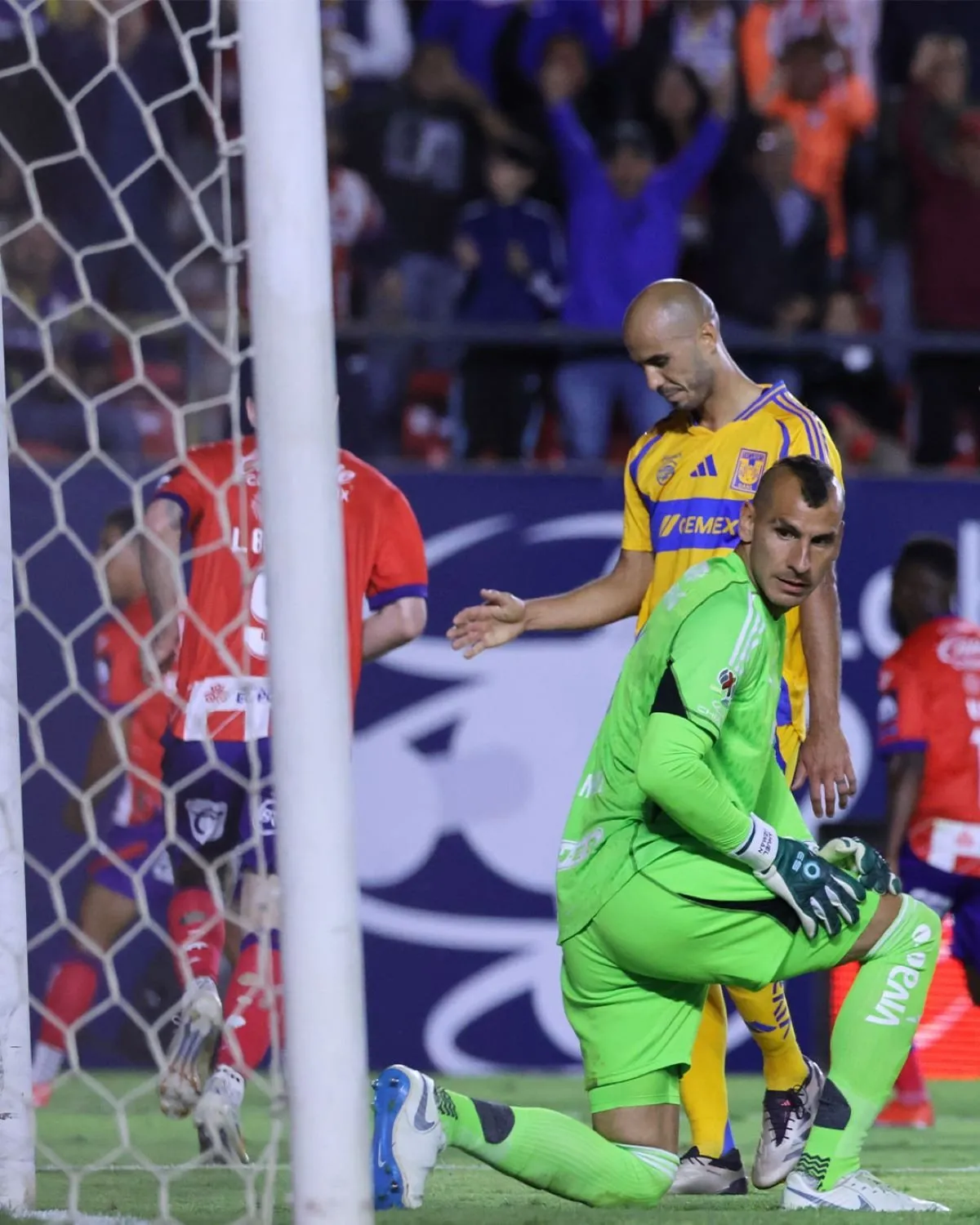 Atlético de San Luis sorprende a Tigres y se asoma a las semifinales del torneo Apertura