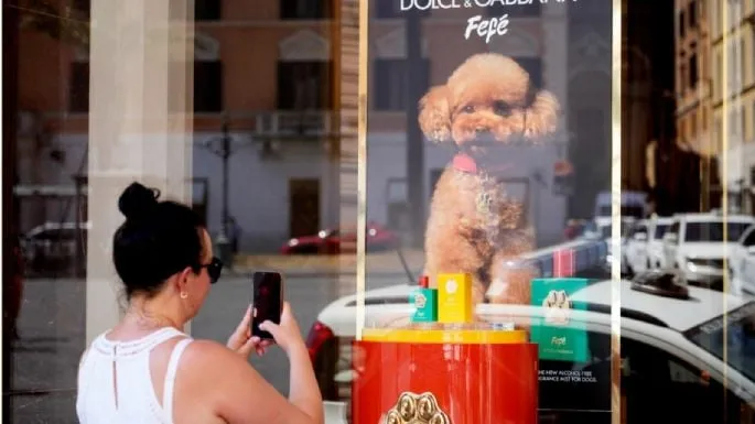 Dolce & Gabbana lanza perfume para perros, pero algunos veterinarios se muestran escépticos