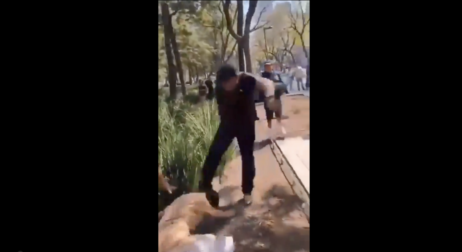 Golpean a mujer trans durante operativo de desalojo en la Alameda (Video)