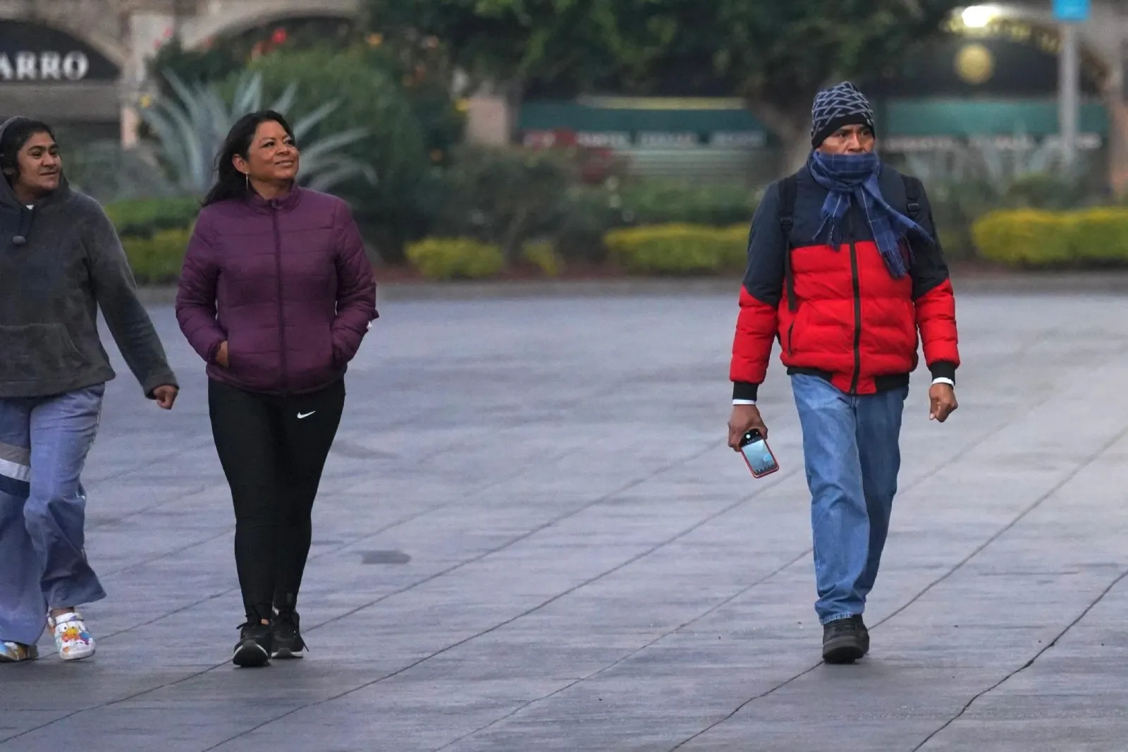 Frente frío 12 provocará el miércoles más heladas y niebla en estas entidades