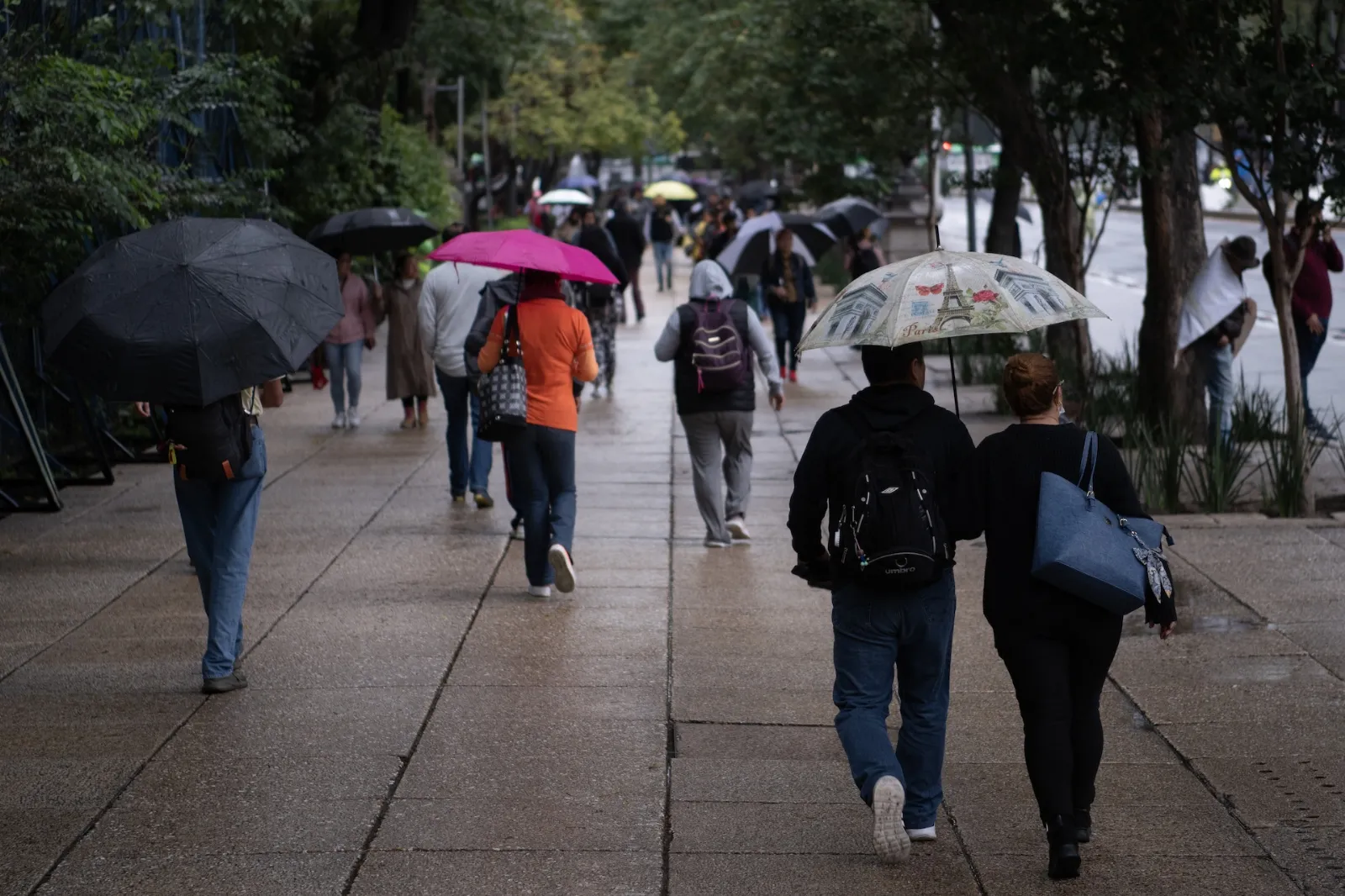 Persistirán lluvias entre lunes y jueves en estas entidades; frente frío 7 se volverá estacionario