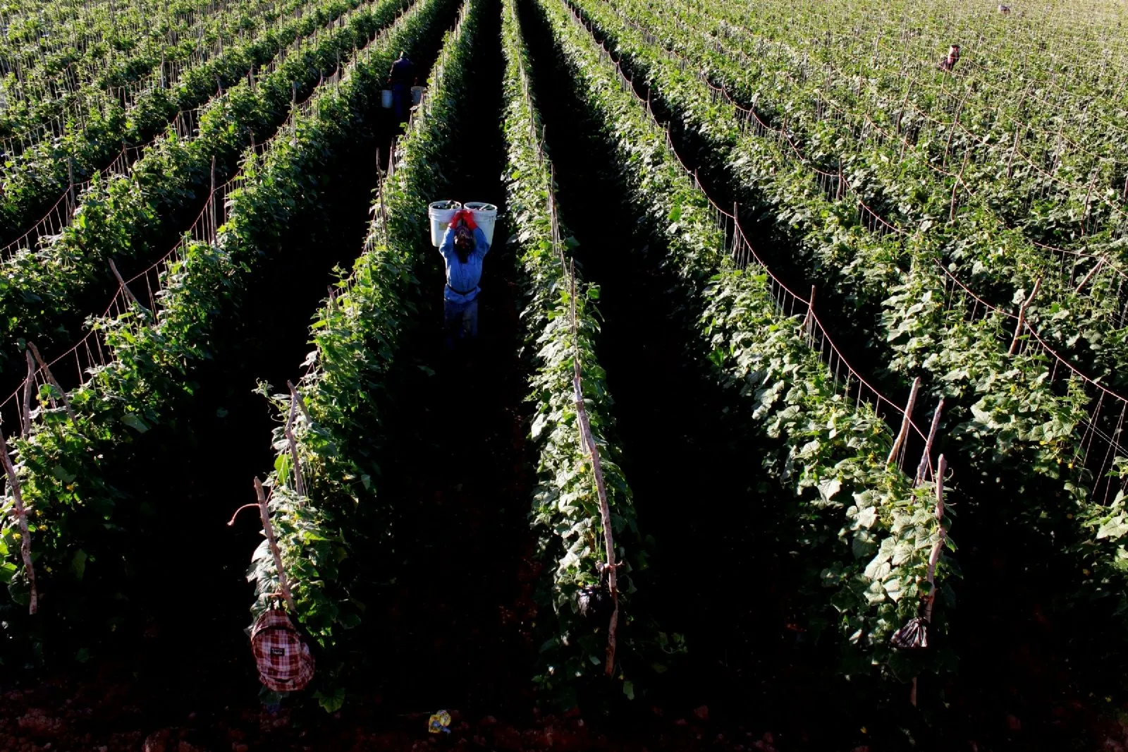 El PIB de México crece en el tercer trimestre, reporta INEGI