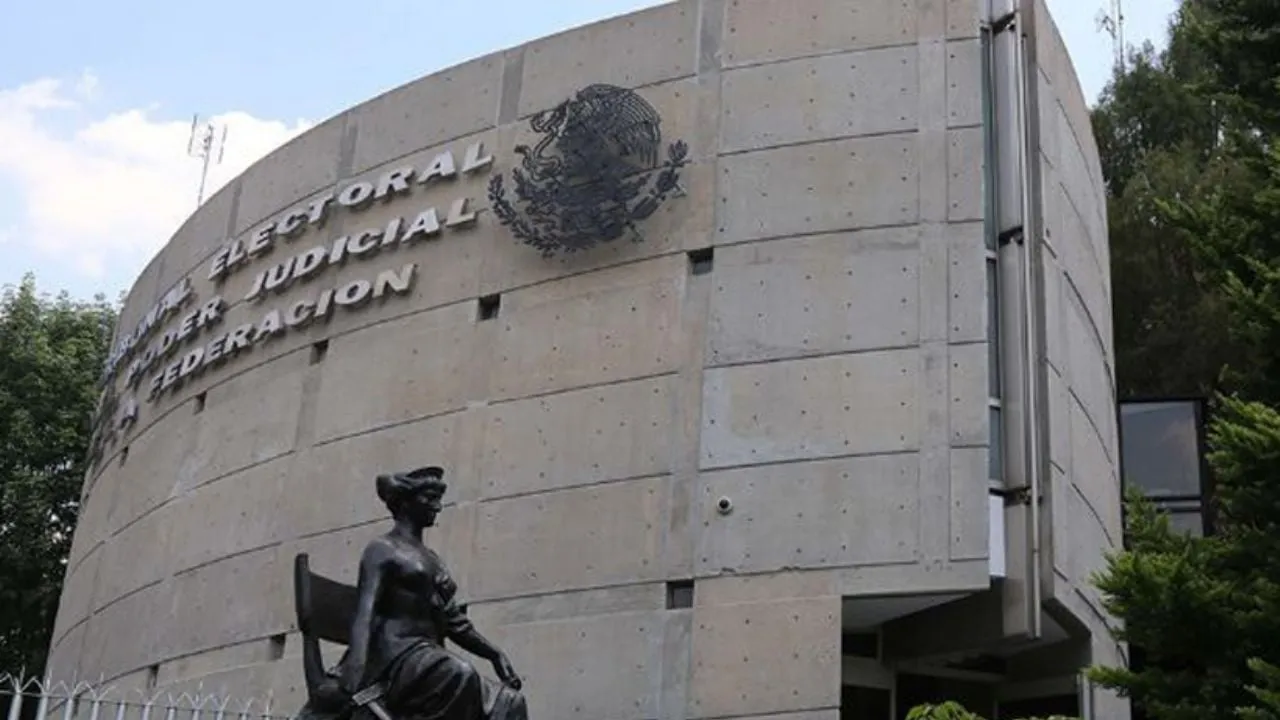 INE invalidará a ganadores por cometer violencia de género o que sean deudores alimentarios: TEPJF