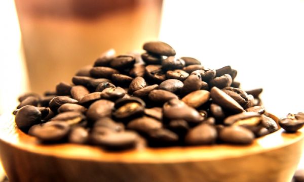 Explorando México Ruta del café y el cacao