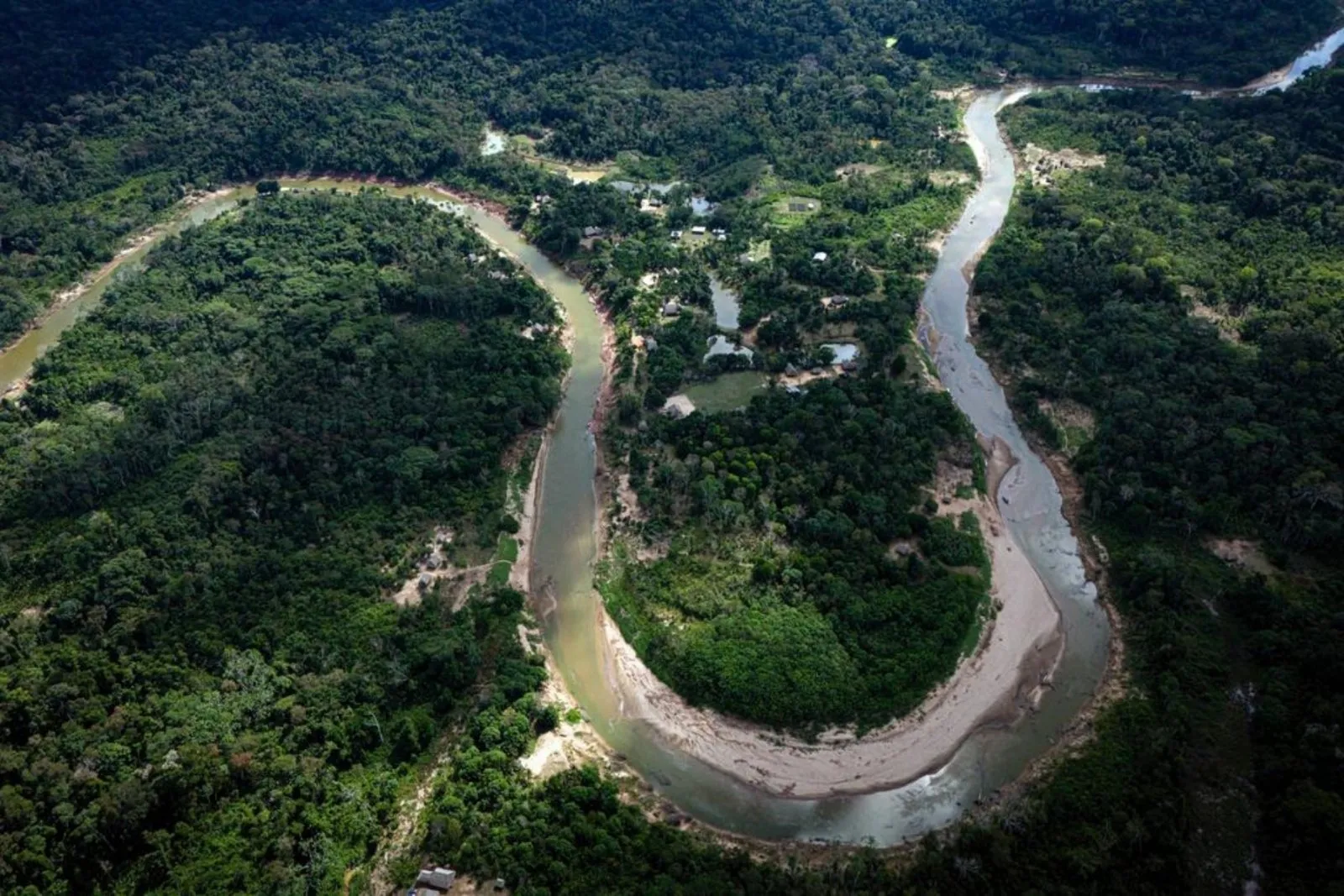 Sequía, incendios y deforestación azotaron la selva amazónica en 2024